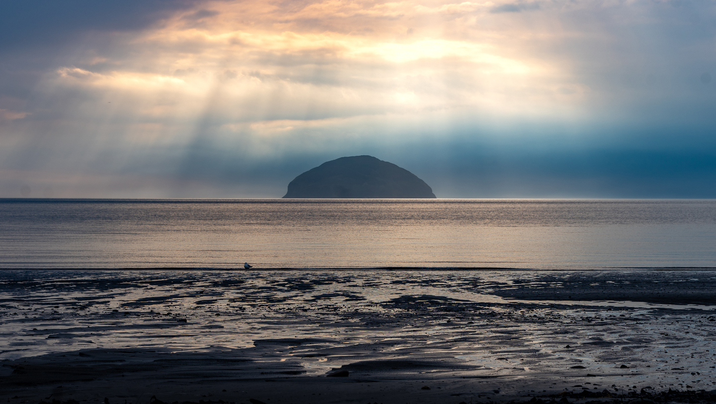 raimondas Zavackis/Shutterstock/FOTODOM