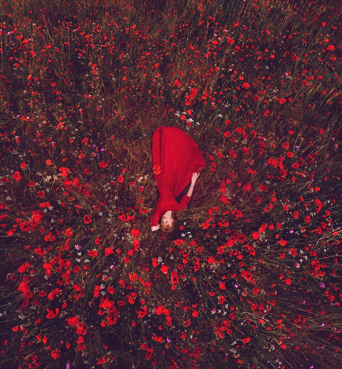 Poppies Field, Crimea