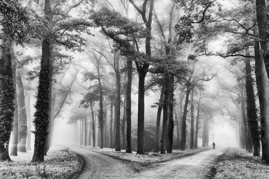 Fotograf Lars van de Gor 6