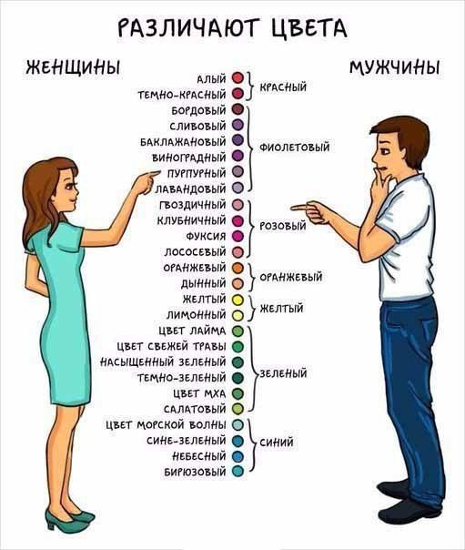 Яркие различия между мужчинами и женщинами в смешных картинках! Яркие различия между мужчинами и женщинами в смешных картинках!
