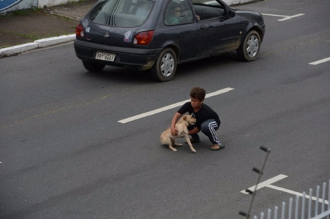 Этот 11-летний мальчик выбежал на проезжую часть, чтобы спасти собаку!