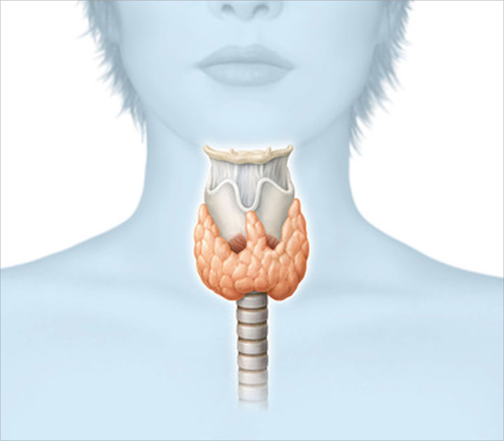 Щитовидная железа: когда стоит бить тревогу. Original