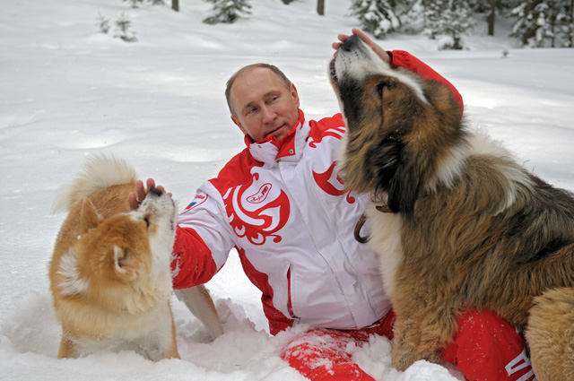 Подмосковье, 2013 г.