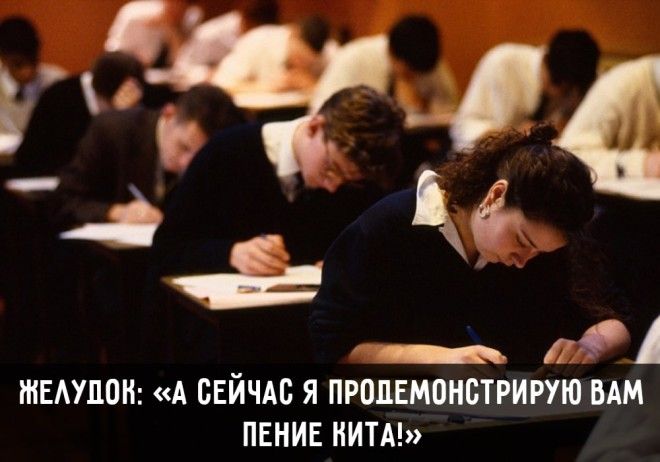 15 жизненных ситуаций, которые поймет абсолютно каждый 15 жизненных ситуаций, которые поймет абсолютно каждый