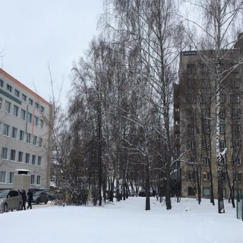 Абсурдные новости. 29 ноября 2018 года Абсурдные новости. 29 ноября 2018 года