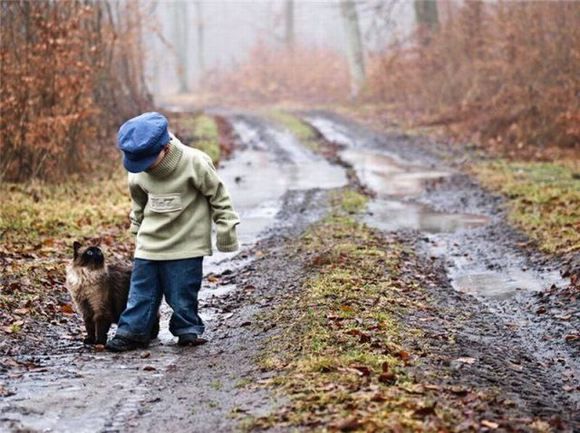 кошки, дети, дом