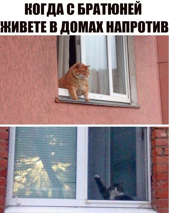 У одинокого оптимиста кровать наполовину полная) У одинокого оптимиста кровать наполовину полная)