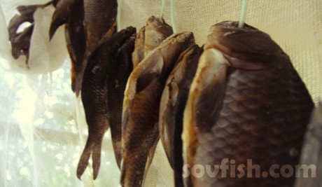 Сделать мороженое на молоке в домашних условиях рецепт Сделать мороженое на молоке в домашних условиях рецепт