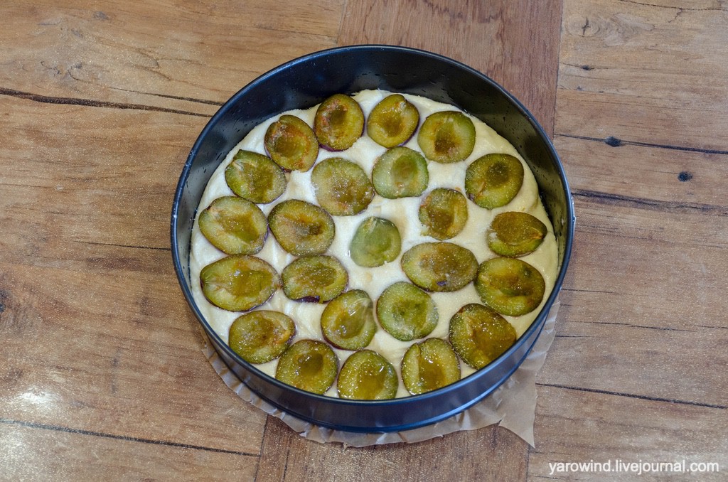 DSC_1964.jpg DSC_1964.jpg