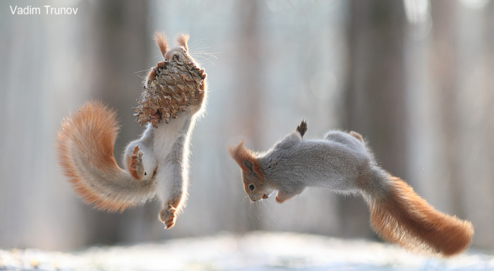 Фотограф: Вадим Трунов (Vadim Trunov).