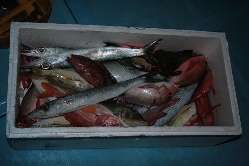 Мальдивы Мальдивы Мальдивы, море, океан, отдых
