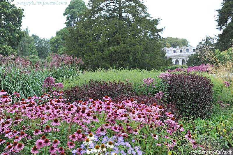 Trantham Gardens 117.JPG Trantham Gardens 117.JPG