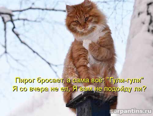 а я не подойду