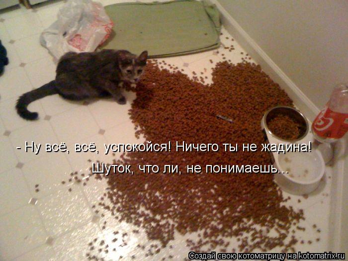 Котоматрица - Послушна и добра душа моя -  Тем злее и вредней второе Я!