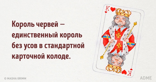 20 абсурдных фактов, которые на самом деле чистая правда