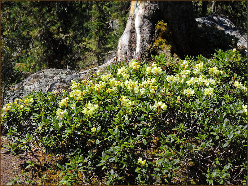 Путешествие по Ергакам Автор фотографий - Михаил фото