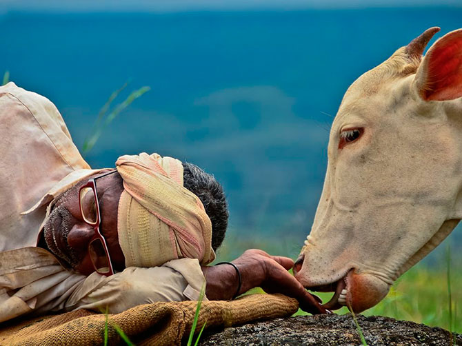 National Geographic:   
