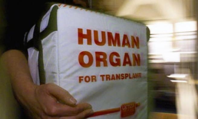 Пропажа русских мигрантов на территории США