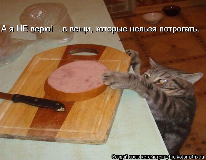 А я НЕ верю! ..в вещи, которые нельзя потрогать.... Котоматрица: А я НЕ верю! ..в вещи, которые нельзя потрогать.