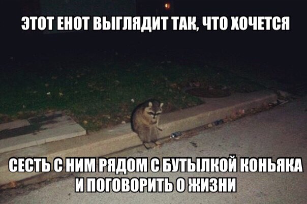 Ну просто угарные картинки для того, что бы посмеяться Ну просто угарные картинки для того, что бы посмеяться
