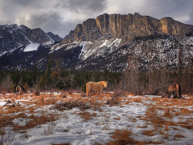 Лучшие фотографии National Geographic Лучшие фотографии National Geographic