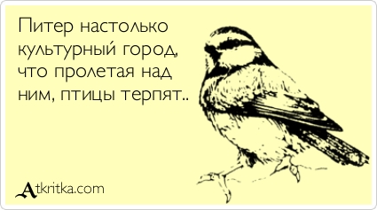 (юмор, сарказм, питер-москва)