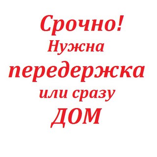 Подарите ангелочкам шанс на дом, на счастливую жизнь!!!