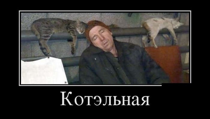 Кто сказал "Мяу"?