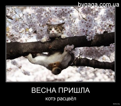 Поднимаем настроение! Весна! Поднимаем настроение! Весна!