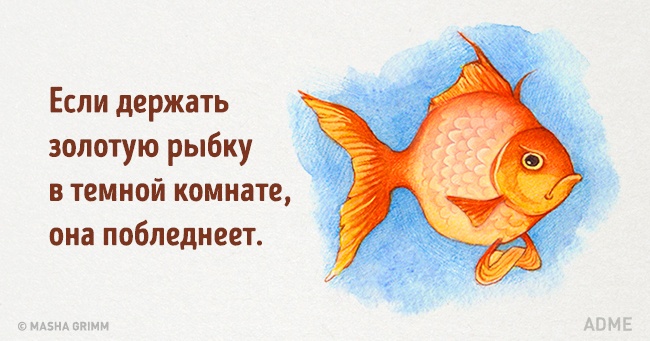 20 абсурдных фактов, которые на самом деле чистая правда