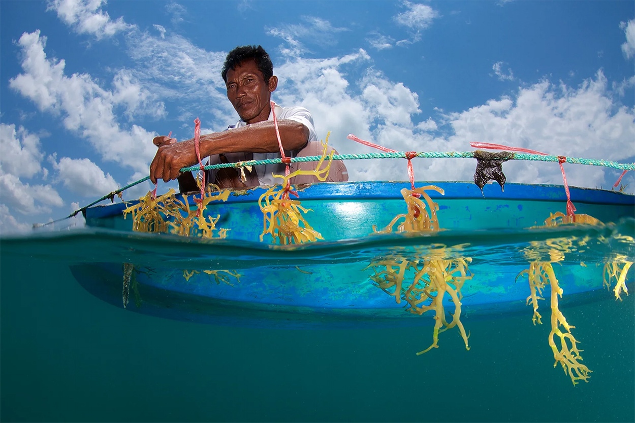    Atkins Ciwem Environmental Photographer of the Year 2016