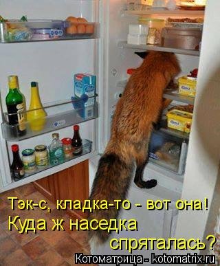 котомашечки от Лисицы))