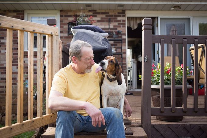 животные, отношения, люди, приют