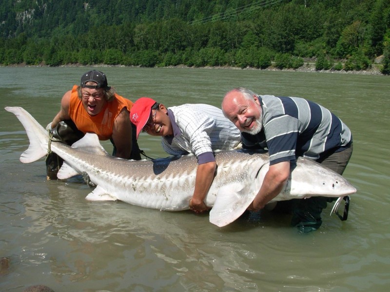 Каспийское море Каспийское, море