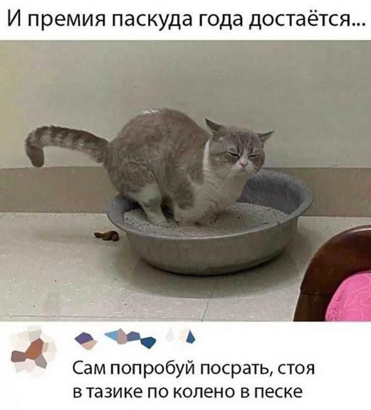Новые смешные картинки!