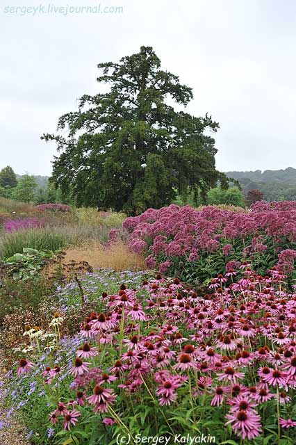 Trantham Gardens 101.JPG Trantham Gardens 101.JPG
