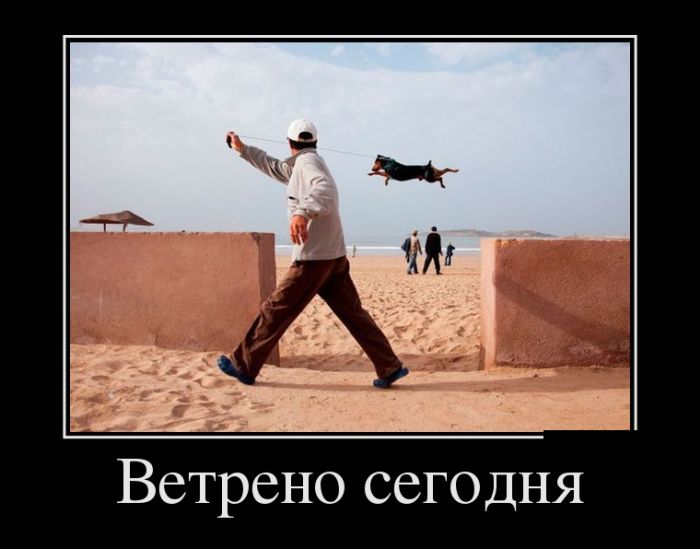 Демотиваторы - 936 Демотиваторы - 936