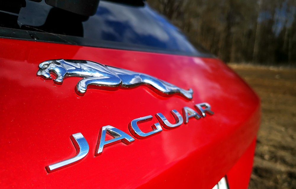 fpace_-15.jpg fpace_-15.jpg