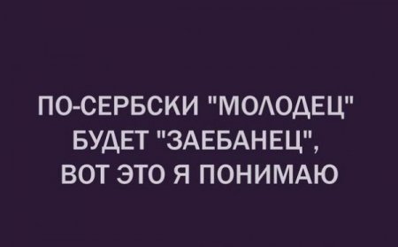 Поржачная солянка! #85