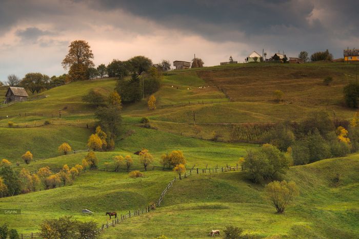 Осень в Крыму и Карпатах (103 фото)