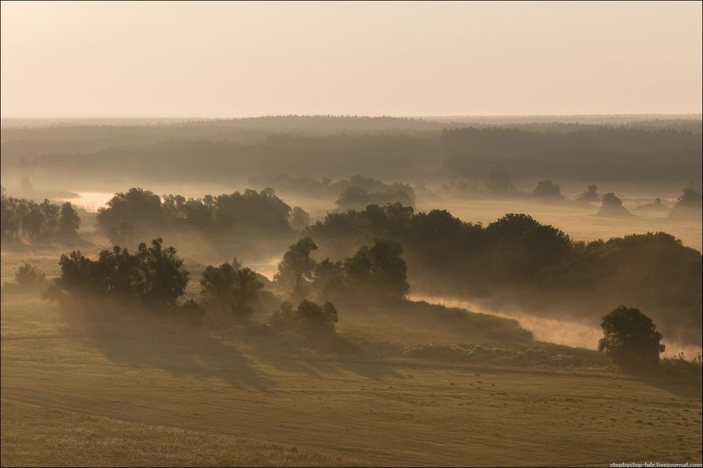 fog23 Королевство туманов
