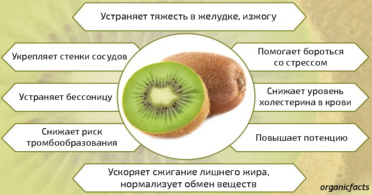 Можно Ли Кушать Киви При Диете