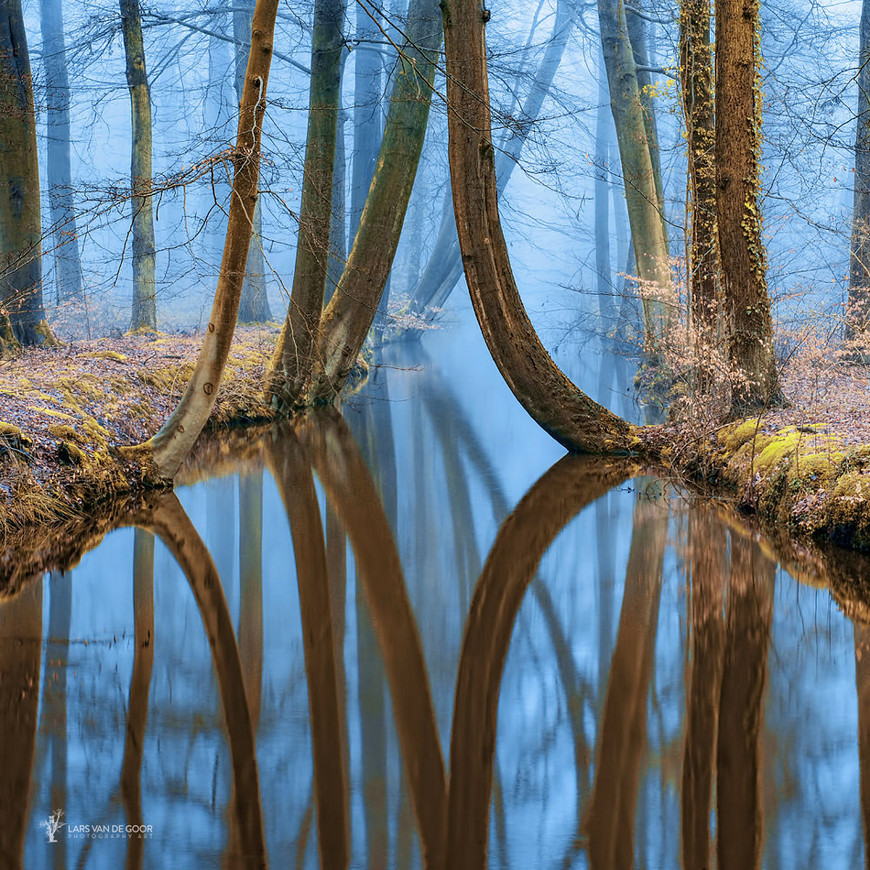 Fotograf Lars van de Gor 9