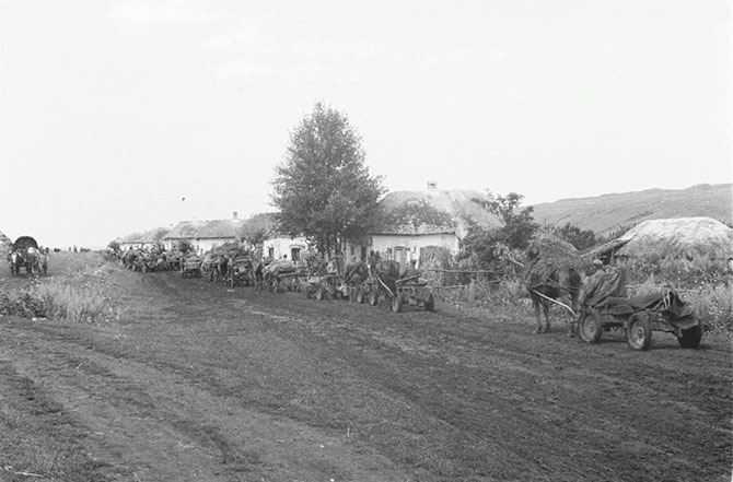 Белгородской области 1943 года в объективе рядового вермахта