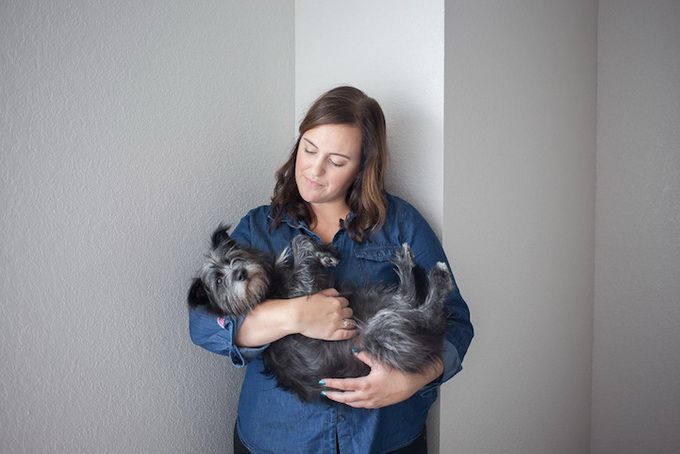 животные, отношения, люди, приют