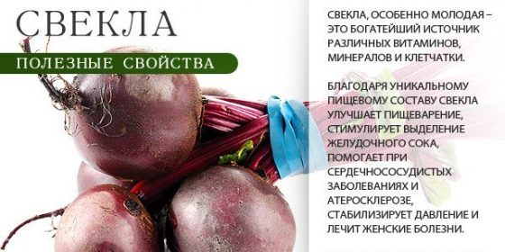 Укрепляем и чистим сосуды: 5 рецептов вкусных салатов из свеклы Укрепляем и чистим сосуды: 5 рецептов вкусных салатов из свеклы