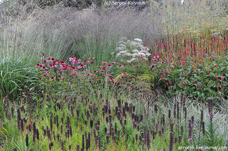 Trantham Gardens 490.JPG Trantham Gardens 490.JPG
