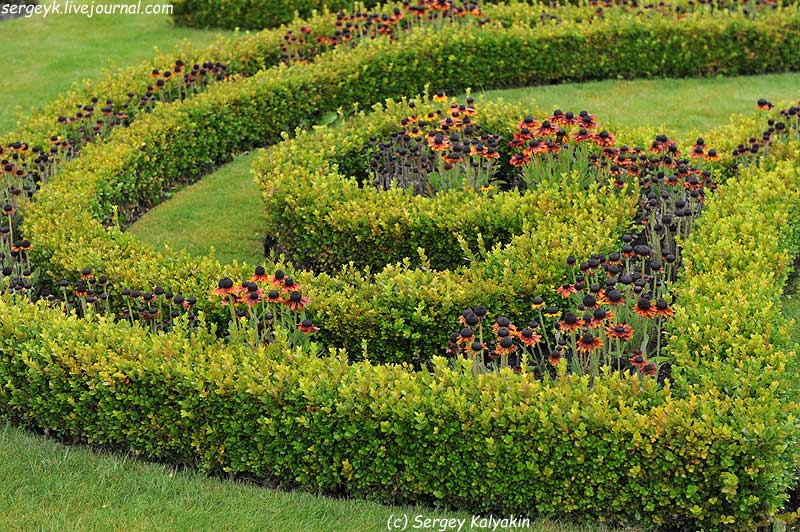 Trantham Gardens 655.JPG Trantham Gardens 655.JPG