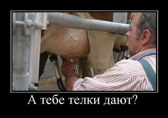 Подогрев настроения Подогрев настроения