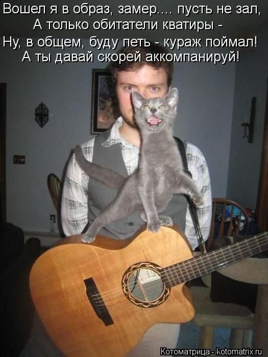 Лучшие котоматрицы недели